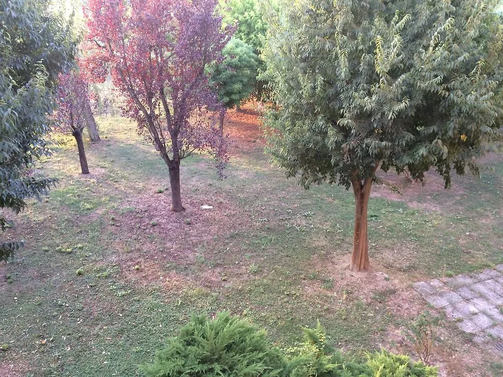 Bed & Breakfast Da Eliana Molinella